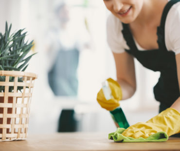 The Professional Cleaning